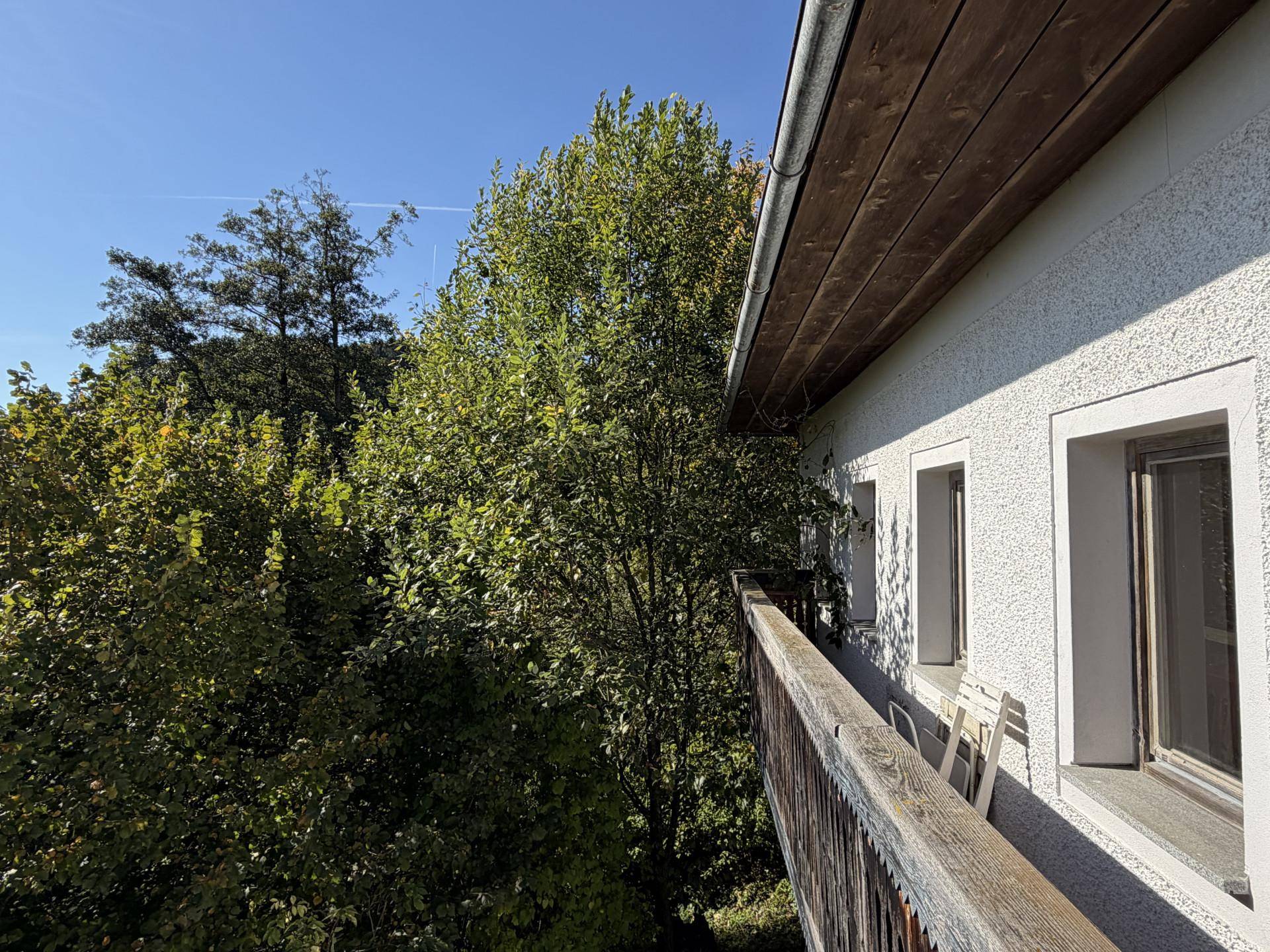 Hölzerner Balkon mit Blick auf üppige grüne Bäume und die weite Landschaft.