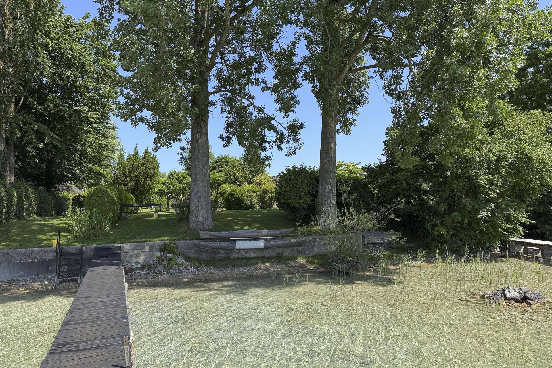 Holzsteg führt in den klaren See, umgeben von hohen Bäumen und üppiger Ufervegetation.
