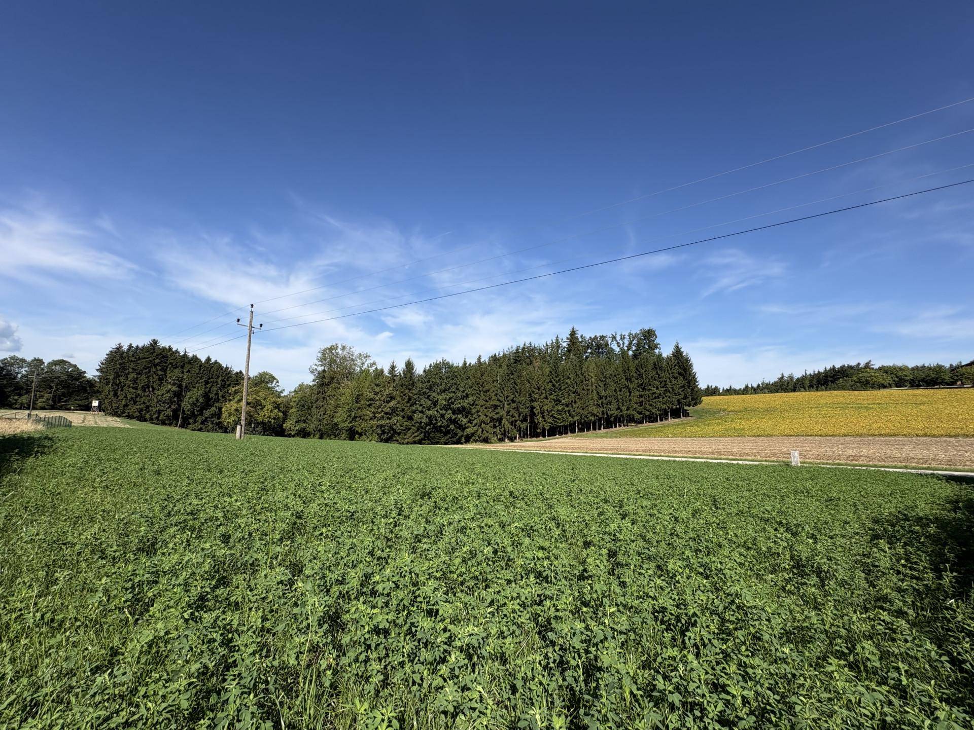 Attraktives Projektgrundstück in herrlicher Grünlage! - Ansicht 2