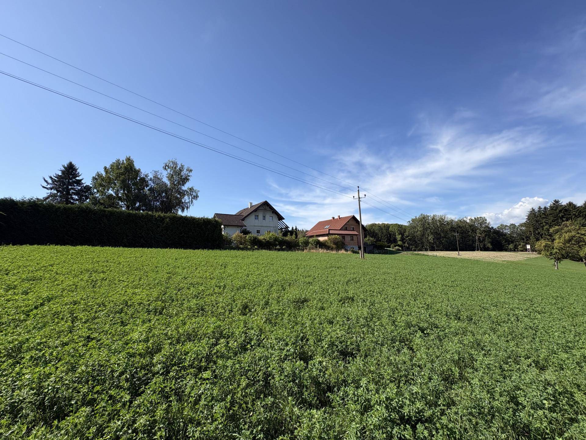 Grüne Wiese mit ländlicher Bebauung und Bäumen im Hintergrund unter einem weiten blauen Himmel.