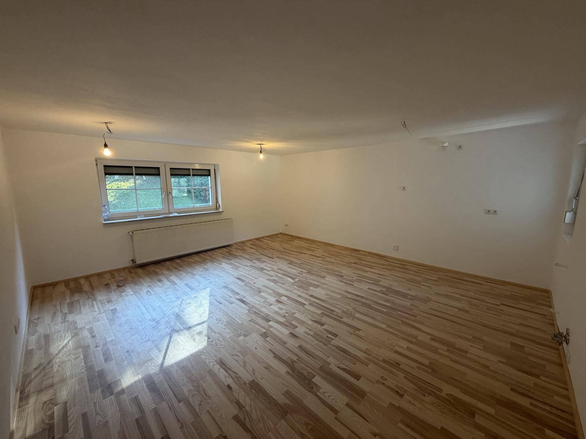Wohn- Esszimmer