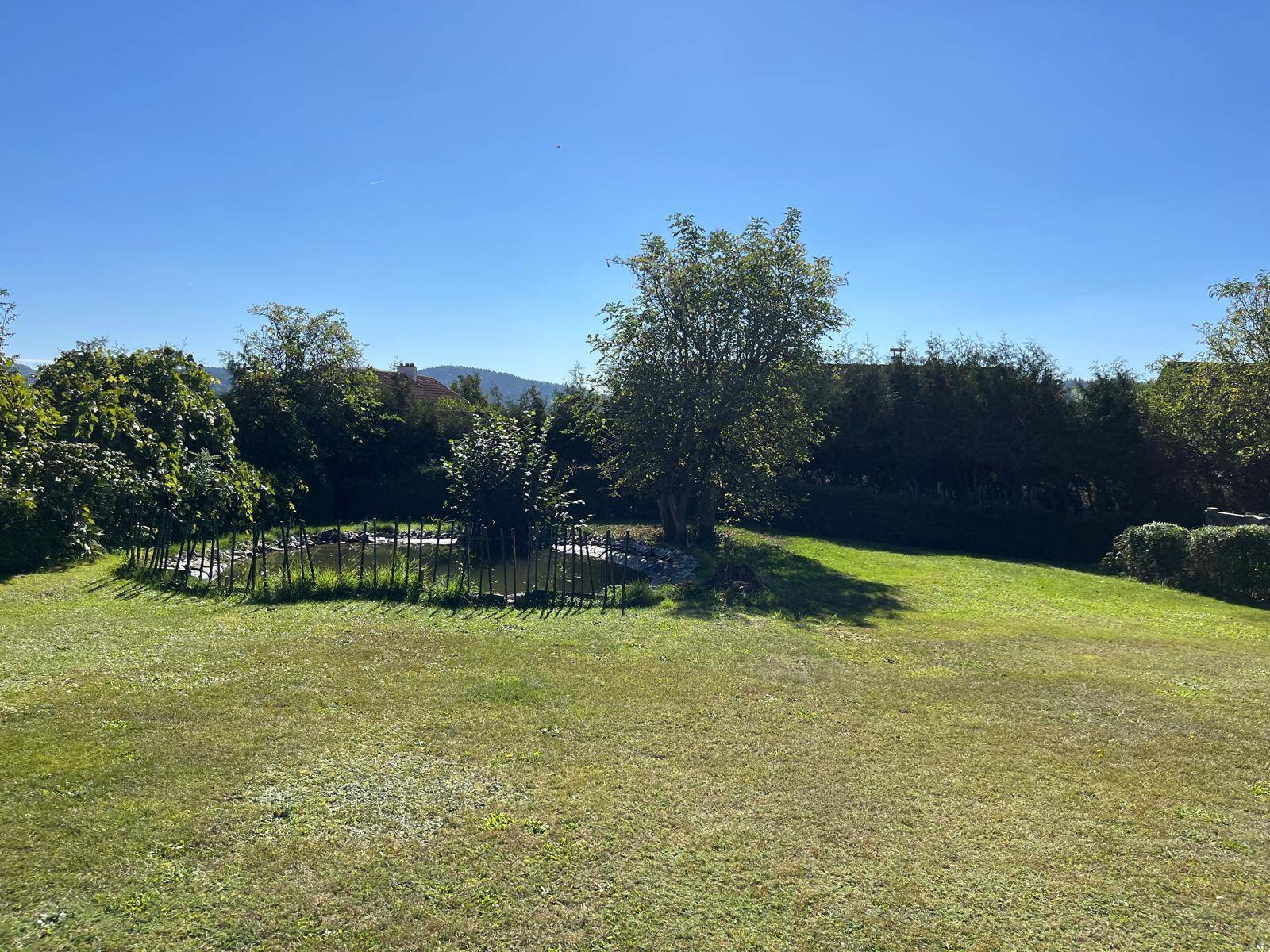 Großer Gartenbereich mit Teich und Bäumen, umgeben von grüner Natur.