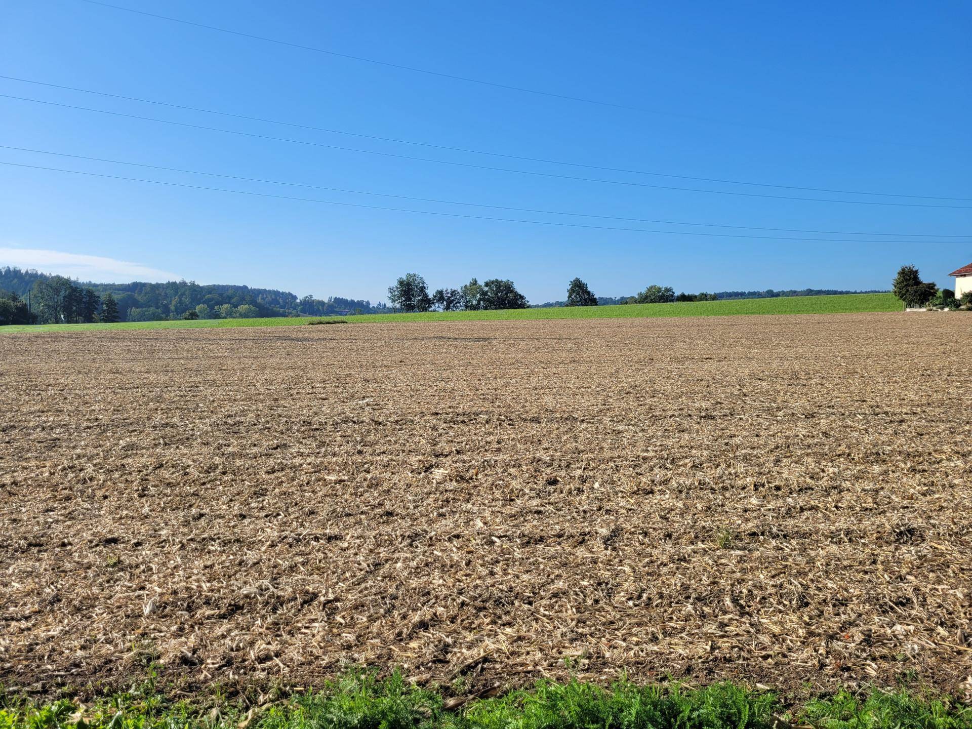 Weite Ackerlandschaft unter strahlend blauem Himmel mit bewaldeten Hügeln am Horizont.