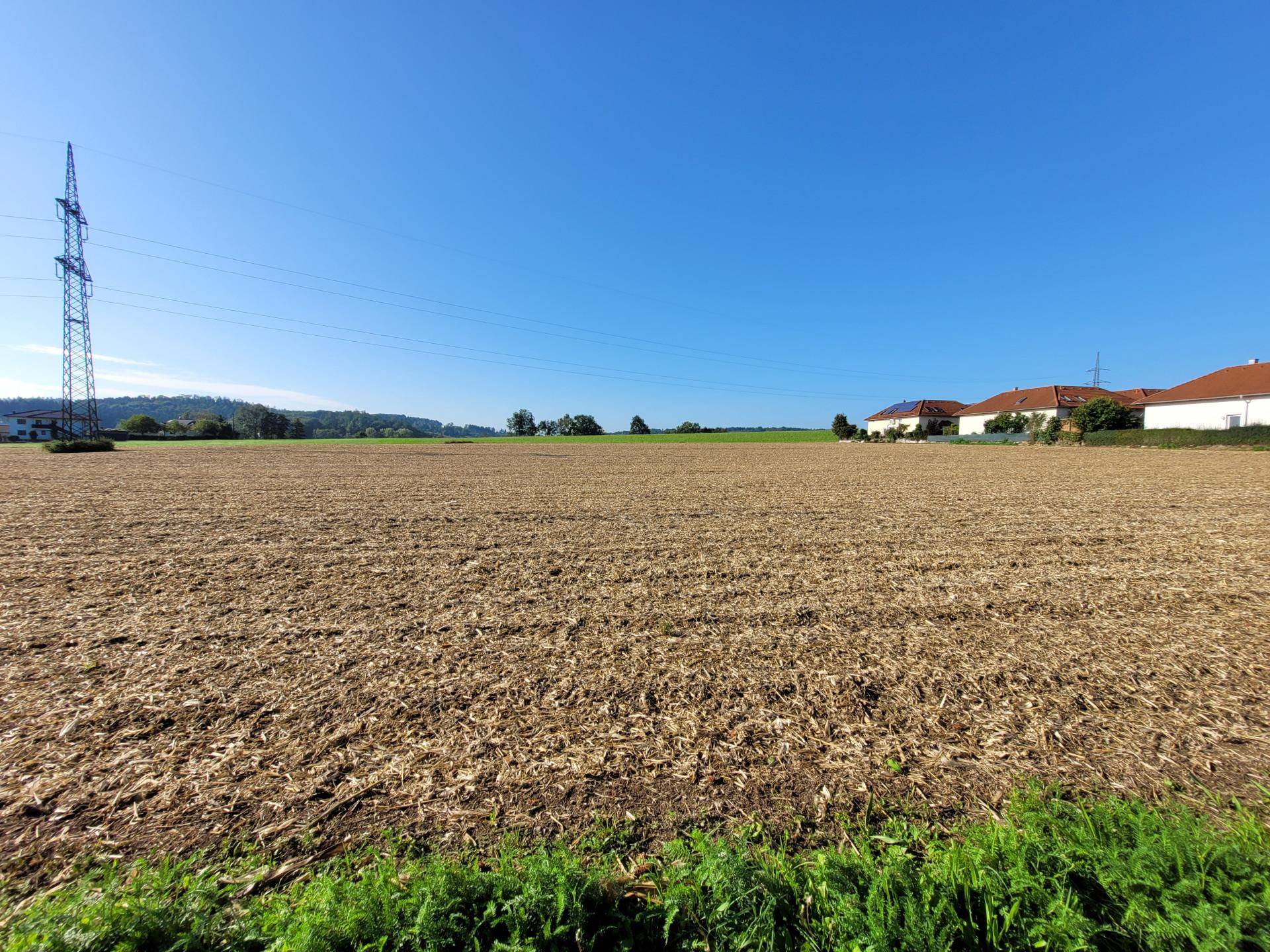 Offenes Feld mit Strommast unter klarem Himmel und Häusern in der Ferne.