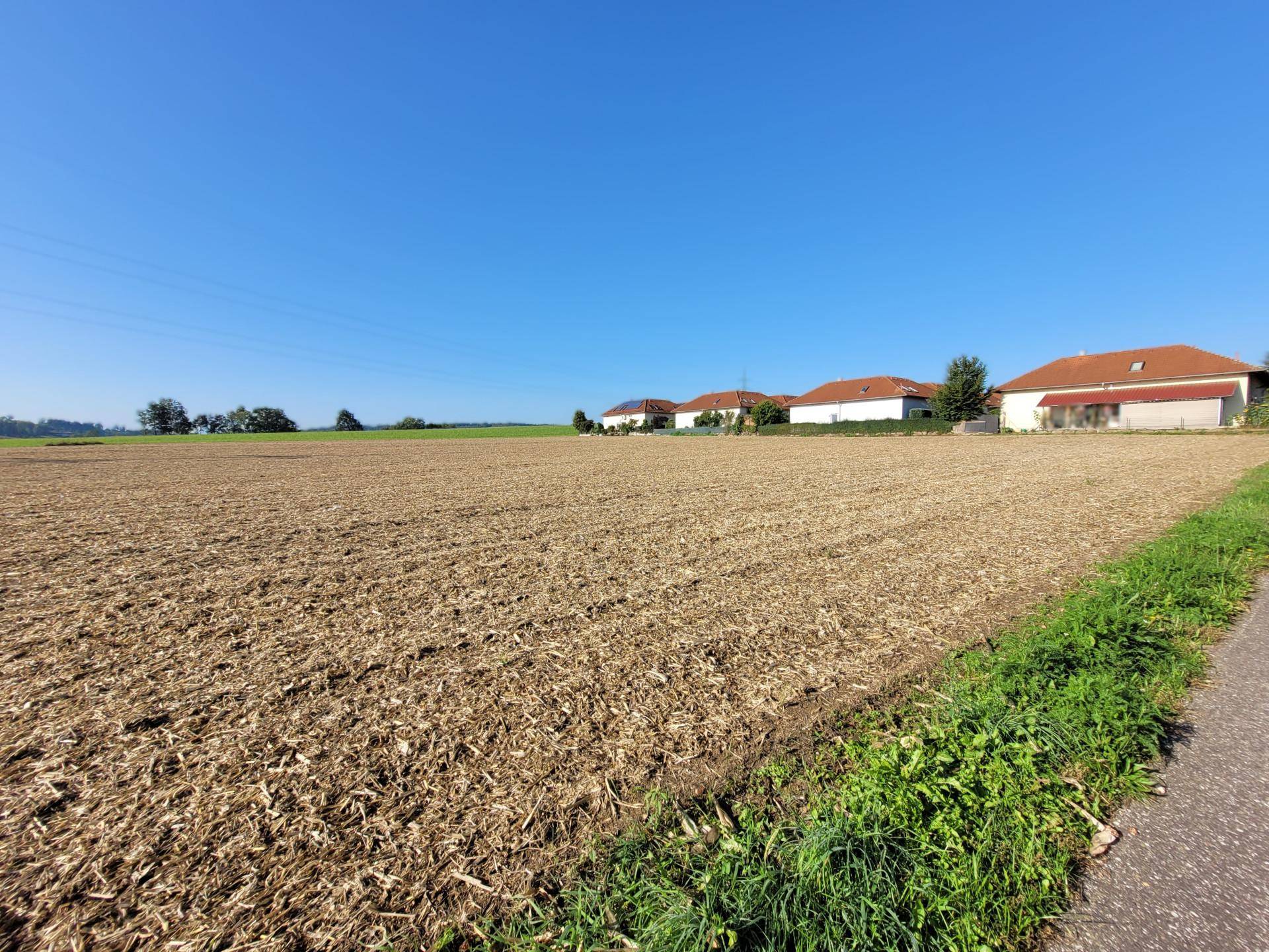 Ackerland mit angrenzendem Weg unter blauem Himmel und Häusern am Horizont.