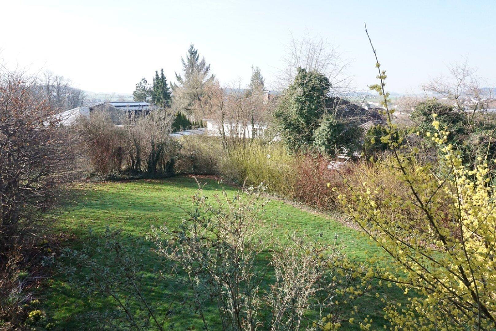 Weitläufiger grüner Gartenbereich mit Sträuchern und Bäumen, bietet einen weiten Blick.