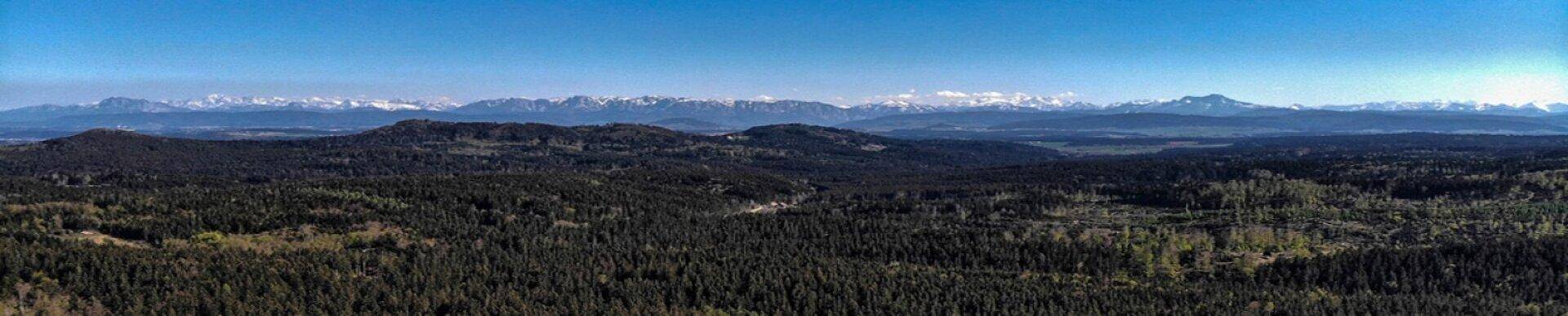 Panoramablick über weite Wälder und schneebedeckte Berge unter klarem blauem Himmel.
