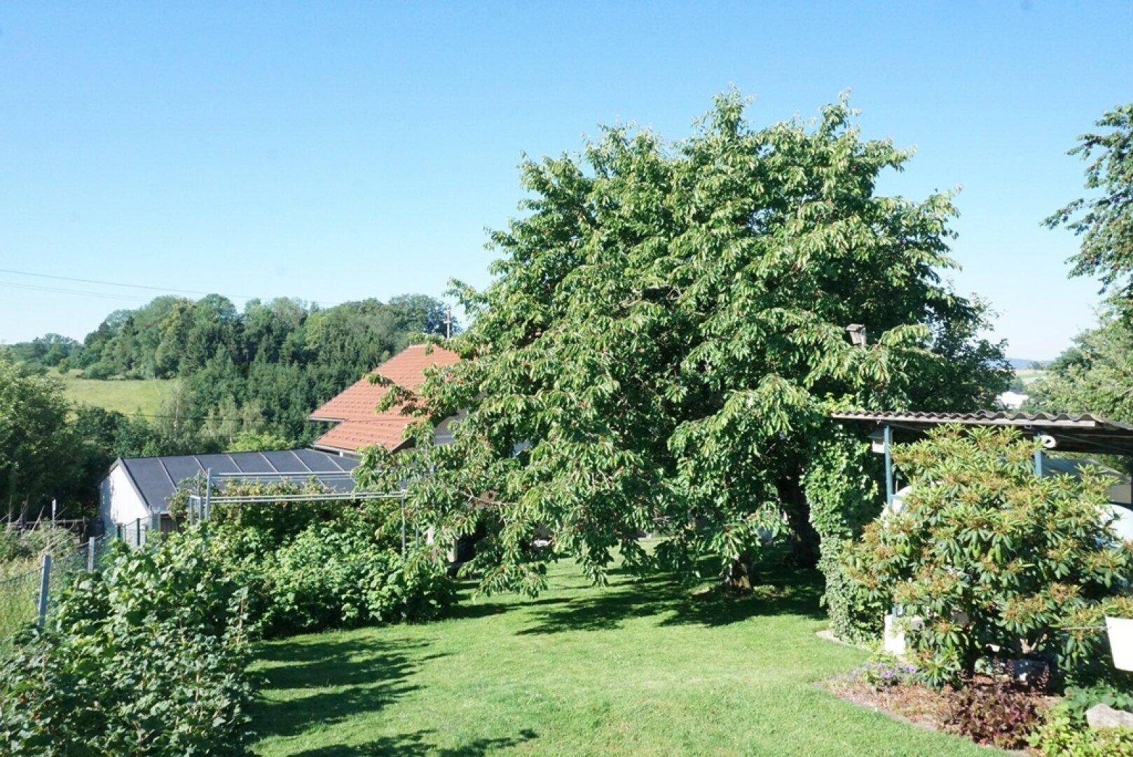 Gepflegtes Wohnhaus mit Mehrfachgarage und gemütlichen Hausgarten - Widok 4