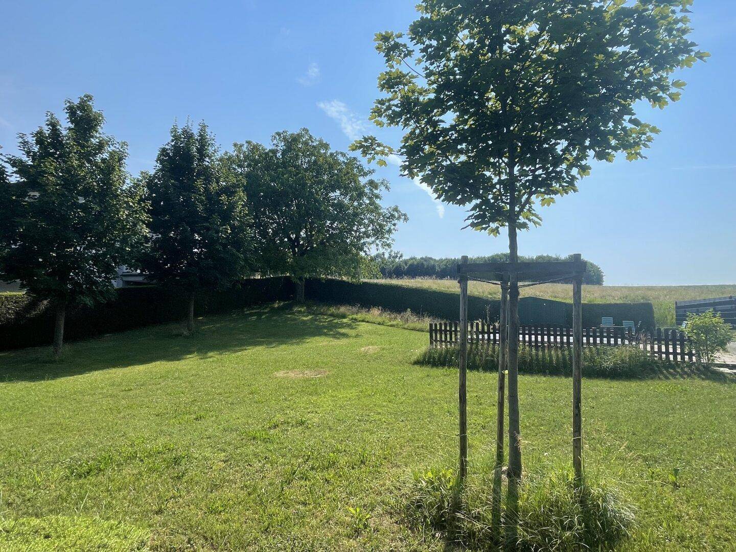 Grüne Rasenfläche mit jungen Bäumen und einer Hecke, die den Blick auf die umliegende Landschaft freigibt.