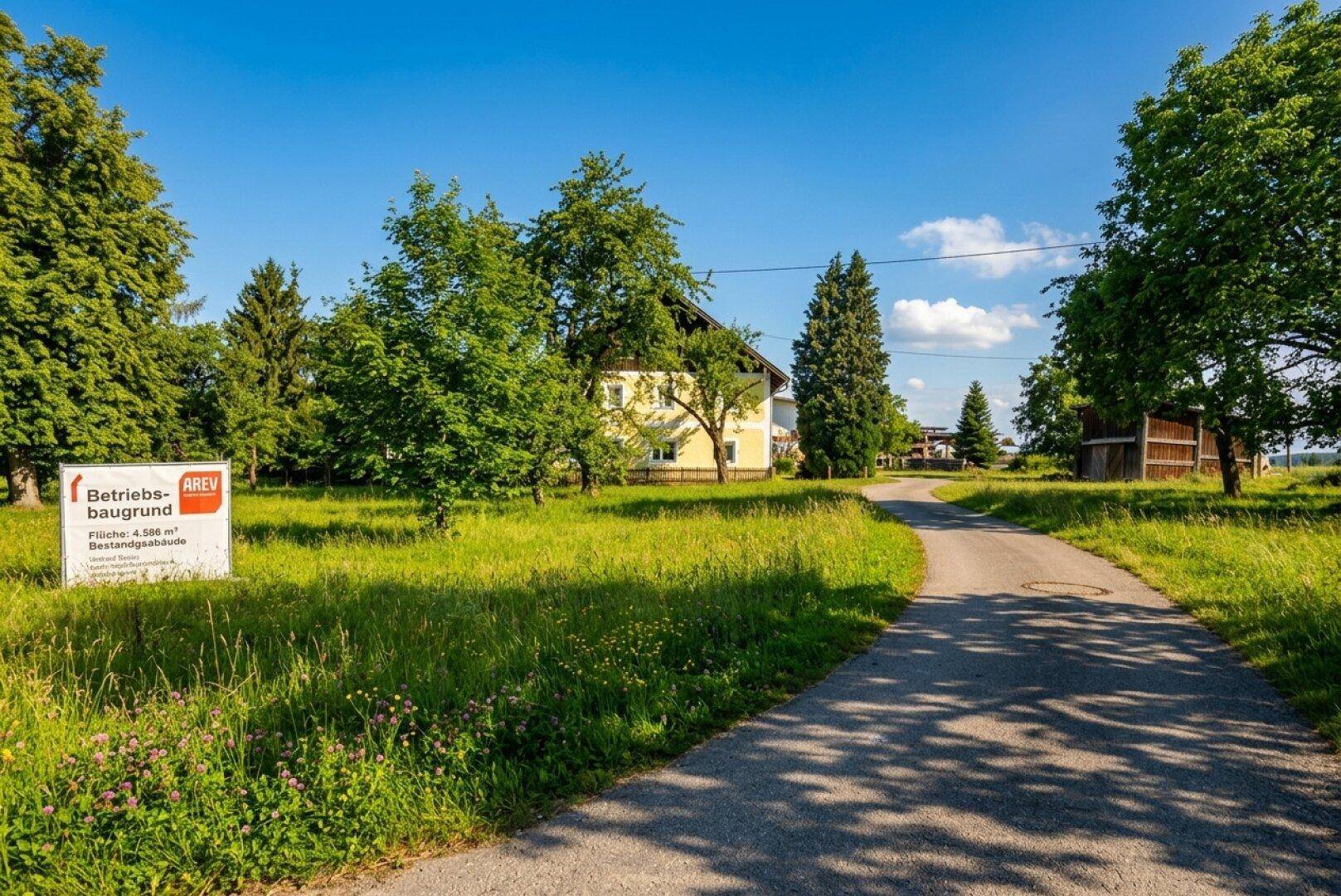 Grundstück mit einem Hinweisschild, Bäumen, einem Haus und einer gepflasterten Zufahrt in ländlicher Umgebung.