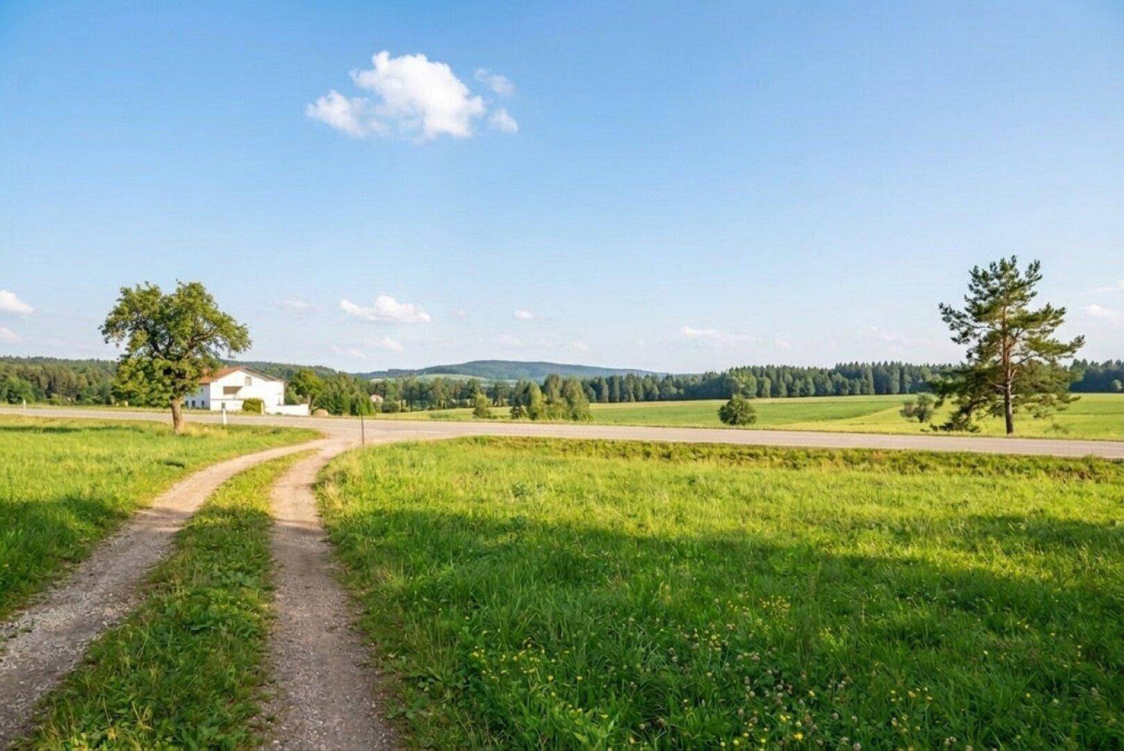Feldweg führt durch weite grüne Wiesen mit einem einzelnen Haus und Wald in der Ferne unter blauem Himmel.