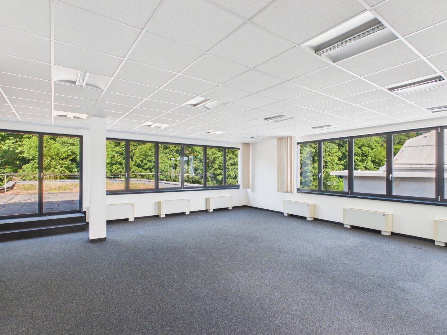 Geräumiges Büro mit Teppichboden und weitem Blick auf grüne Bäume und eine Dachterrasse.