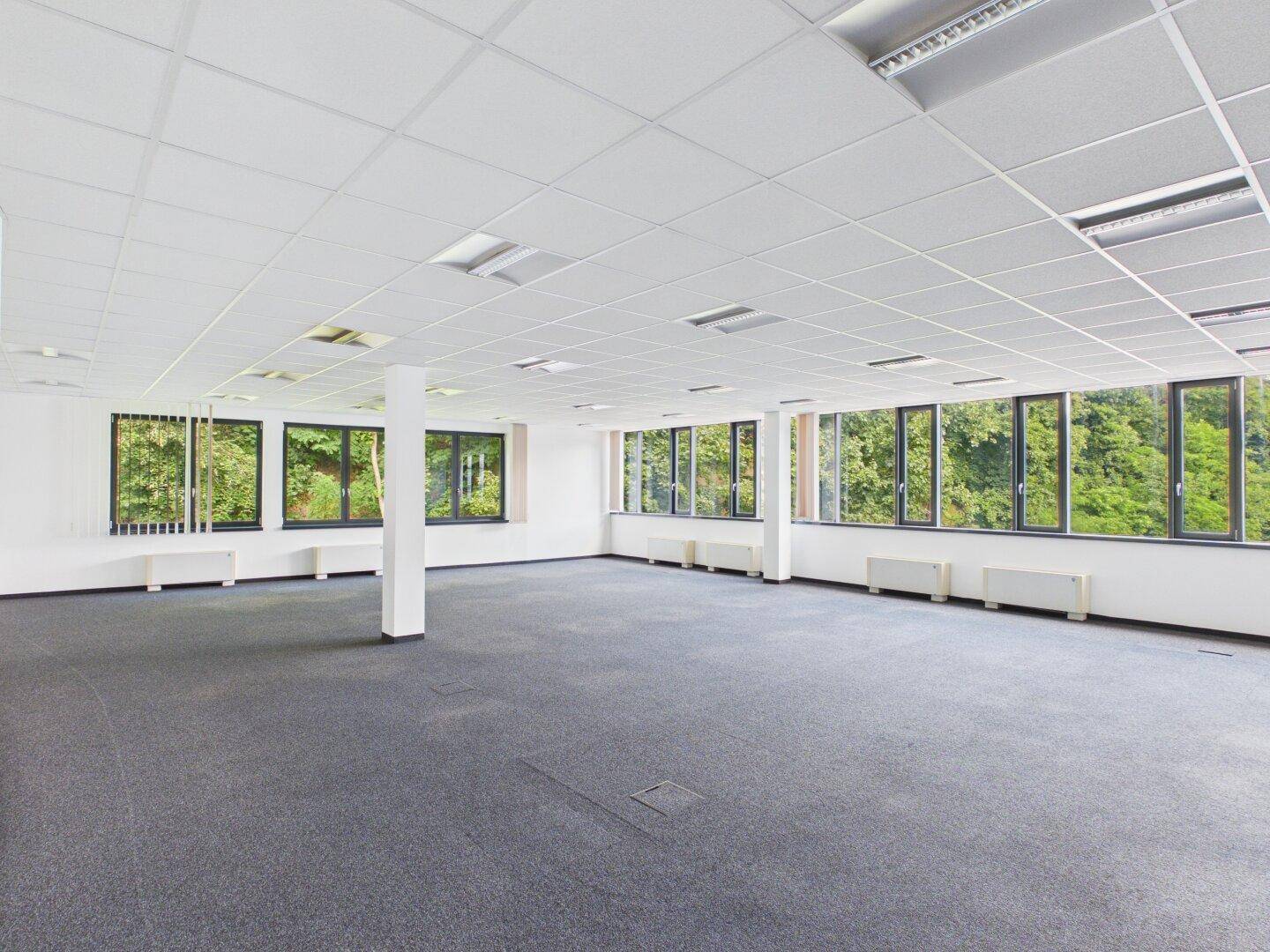 Großes, offenes Büro mit Teppichboden, vielen Fenstern und Blick ins Grüne.