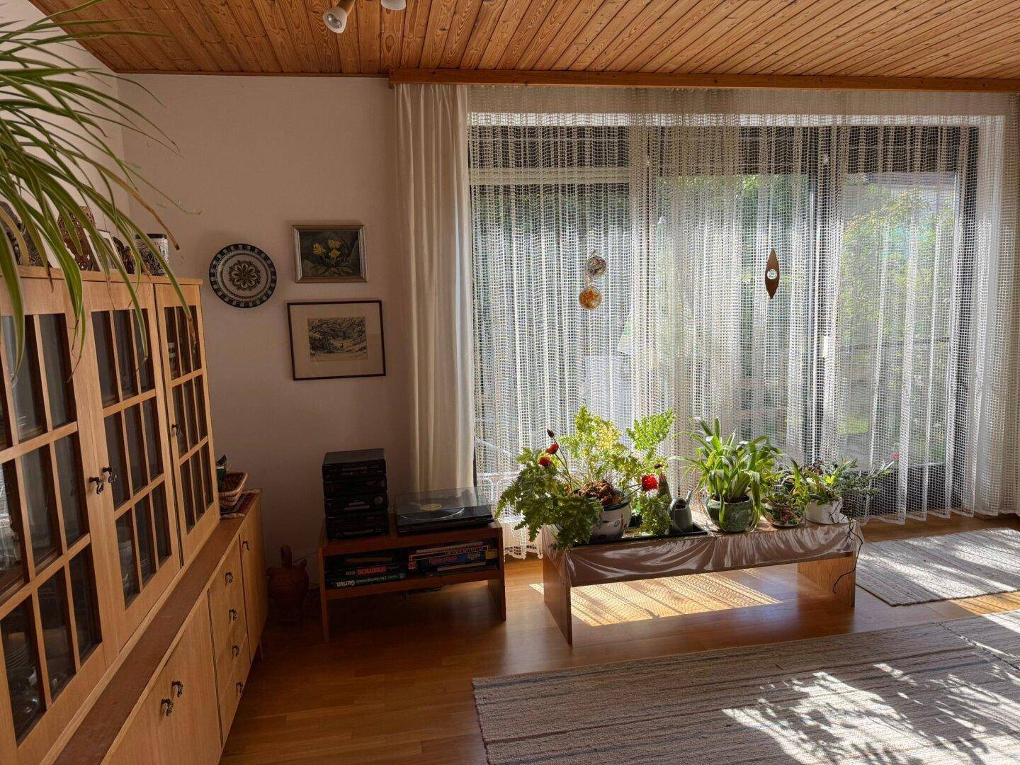 Helles Wohnzimmer mit Holzdecke, Parkettboden und vielen Pflanzen am Fenster.