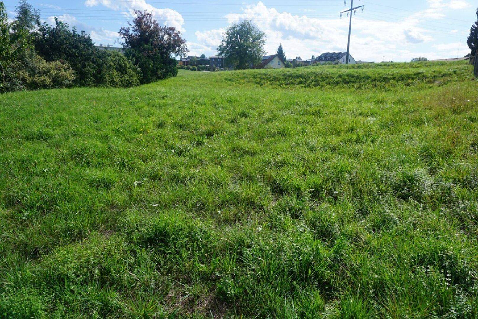 Eine weite, grüne Wiese unter einem bewölkten Himmel, umgeben von Bäumen und ländlicher Vegetation.