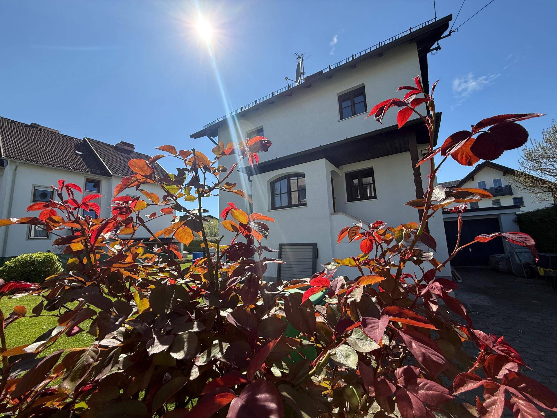 Sonniges Äußeres des Hauses mit leuchtend roten Pflanzen im Vorgarten und blauem Himmel.