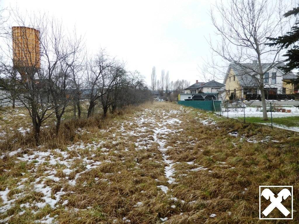 Langes, schmales Grundstück mit trockenem Gras und Schnee, umgeben von Bäumen und Häusern.