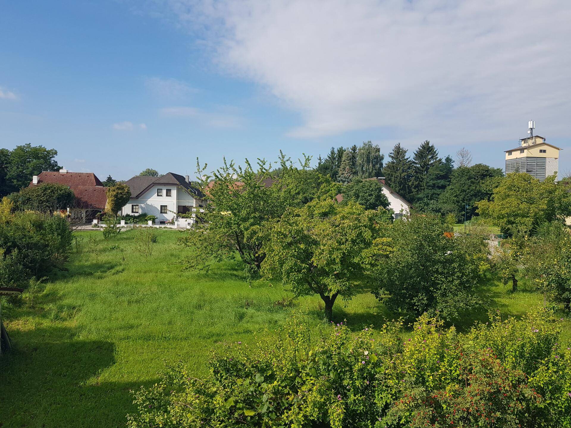 Weitläufiger Blick über grüne Gärten und die umliegende ländliche Bebauung unter blauem Himmel.