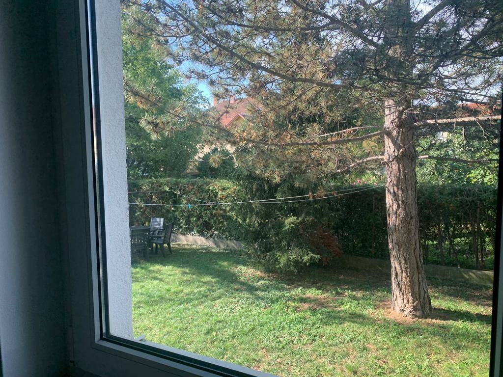 Blick in den Gemeinschaftsgarten