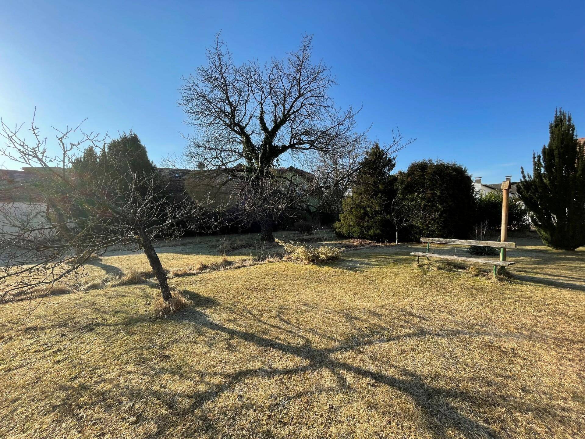 Weitläufiger Gartenbereich mit verschiedenen Bäumen, Rasenfläche und einer Holzbank unter blauem Himmel.