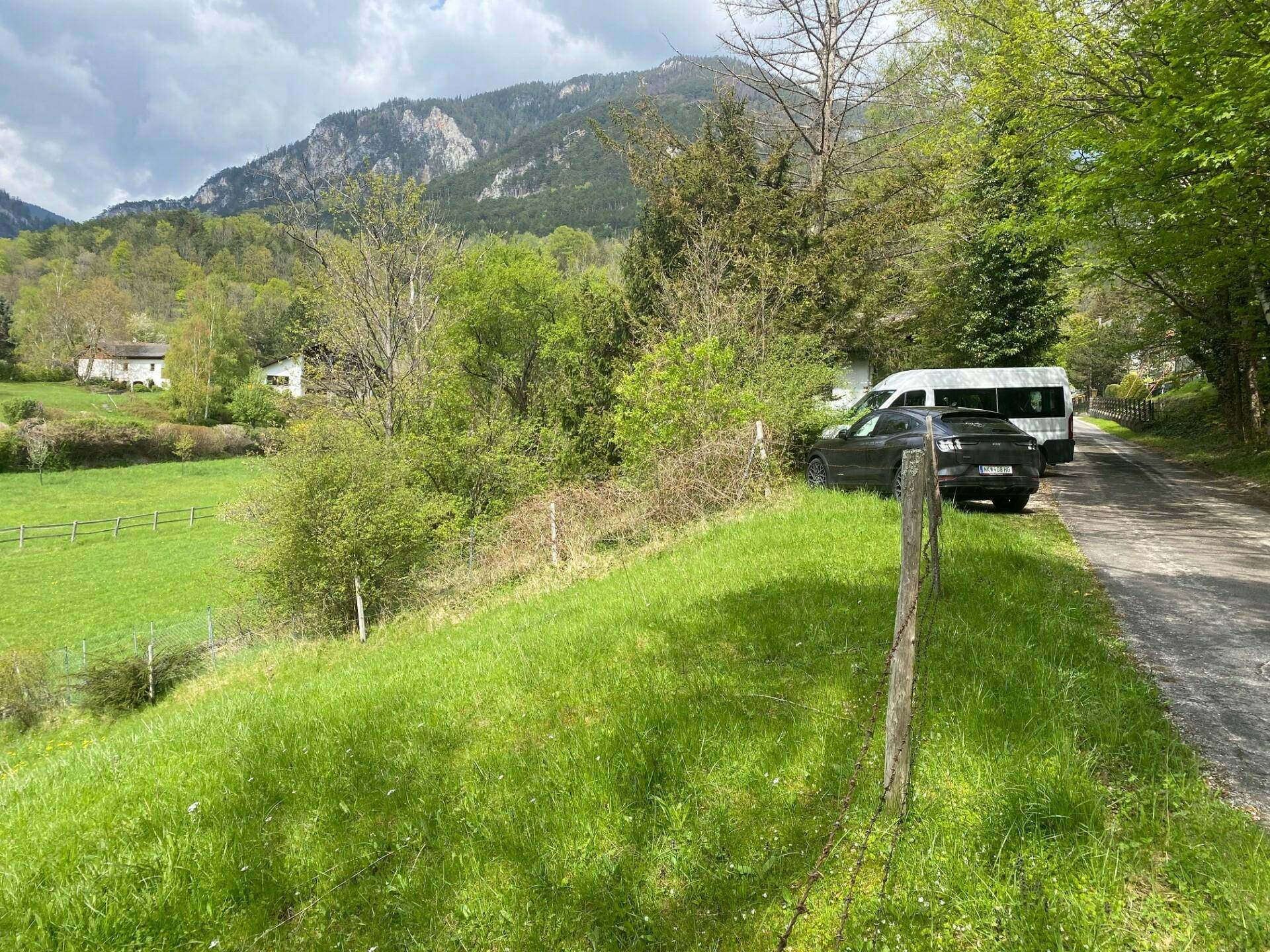 Grüne Hügellandschaft mit einem Feldweg, umgeben von Bäumen und Bergen im ländlichen Gebiet.