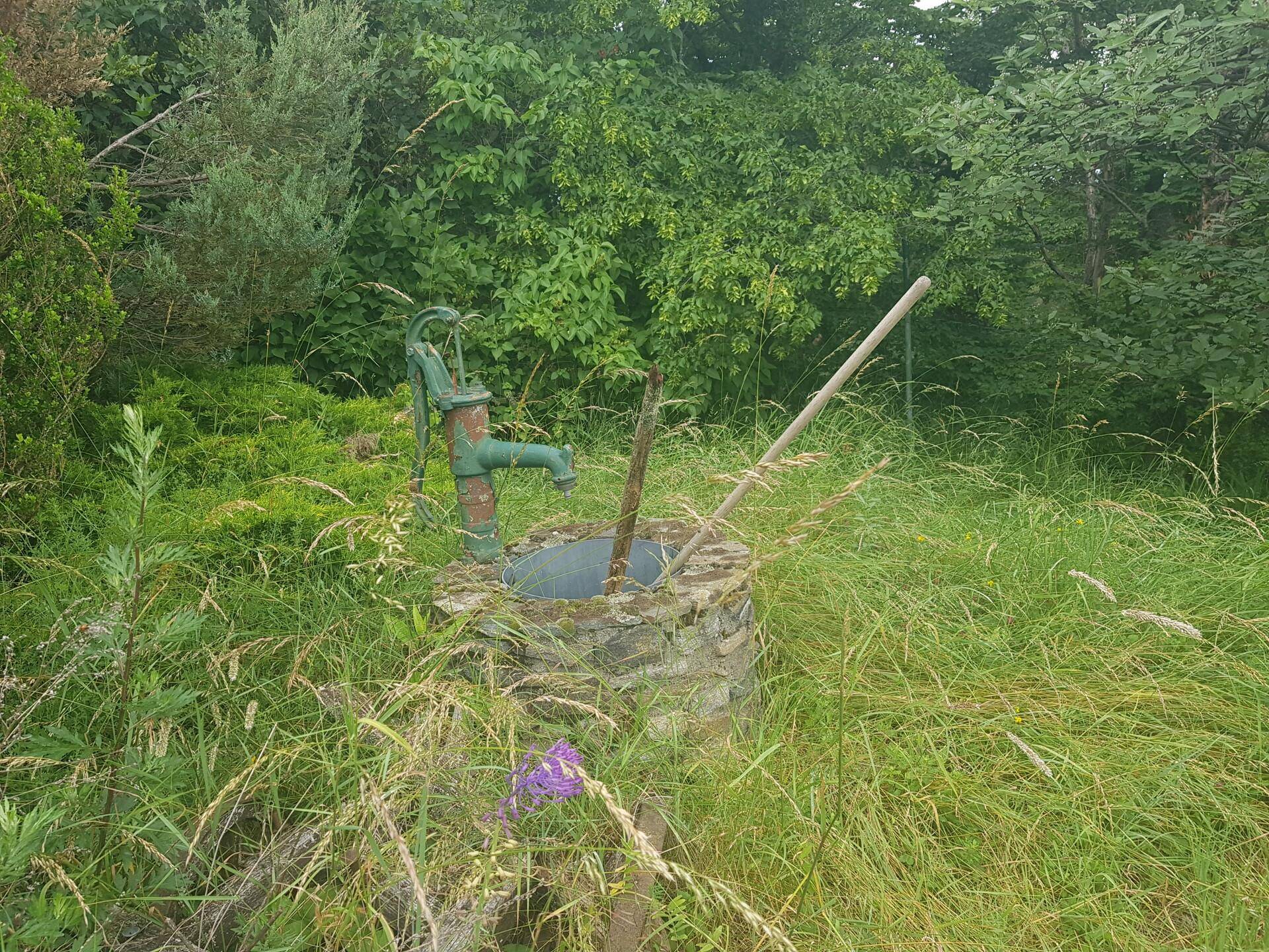 Eine alte Handschwengelpumpe mit gemauertem Sockel steht umgeben von hohem Gras und dichtem Grün.