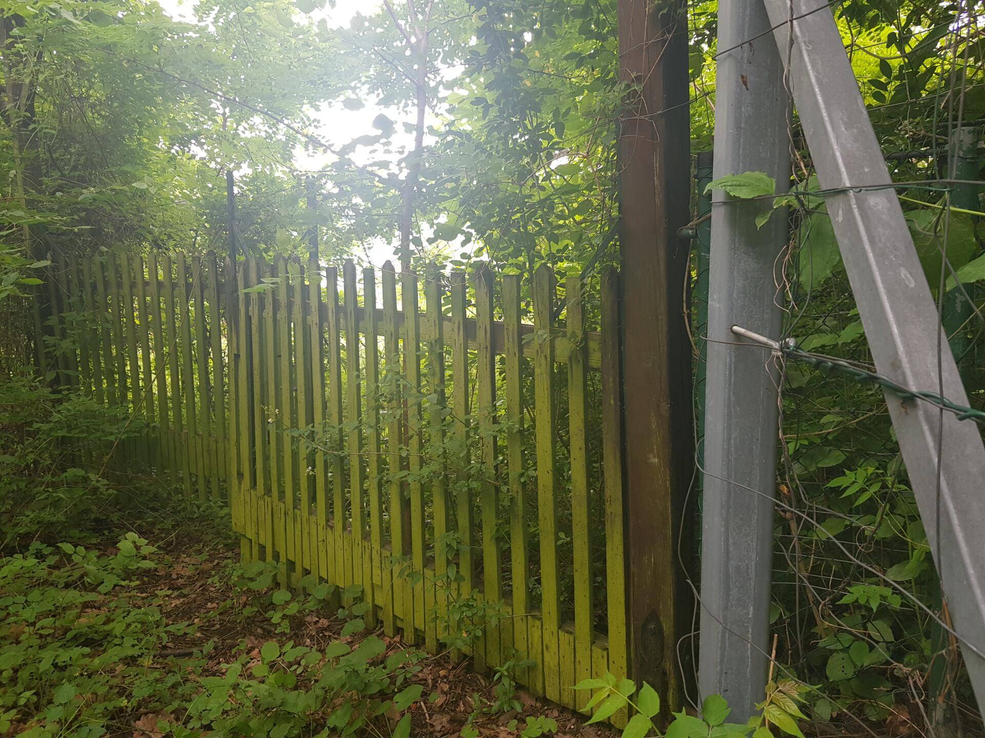 Ein verwitterter Holzzaun, teilweise von dichtem Grün überwuchert, steht neben einem Metallpfosten.