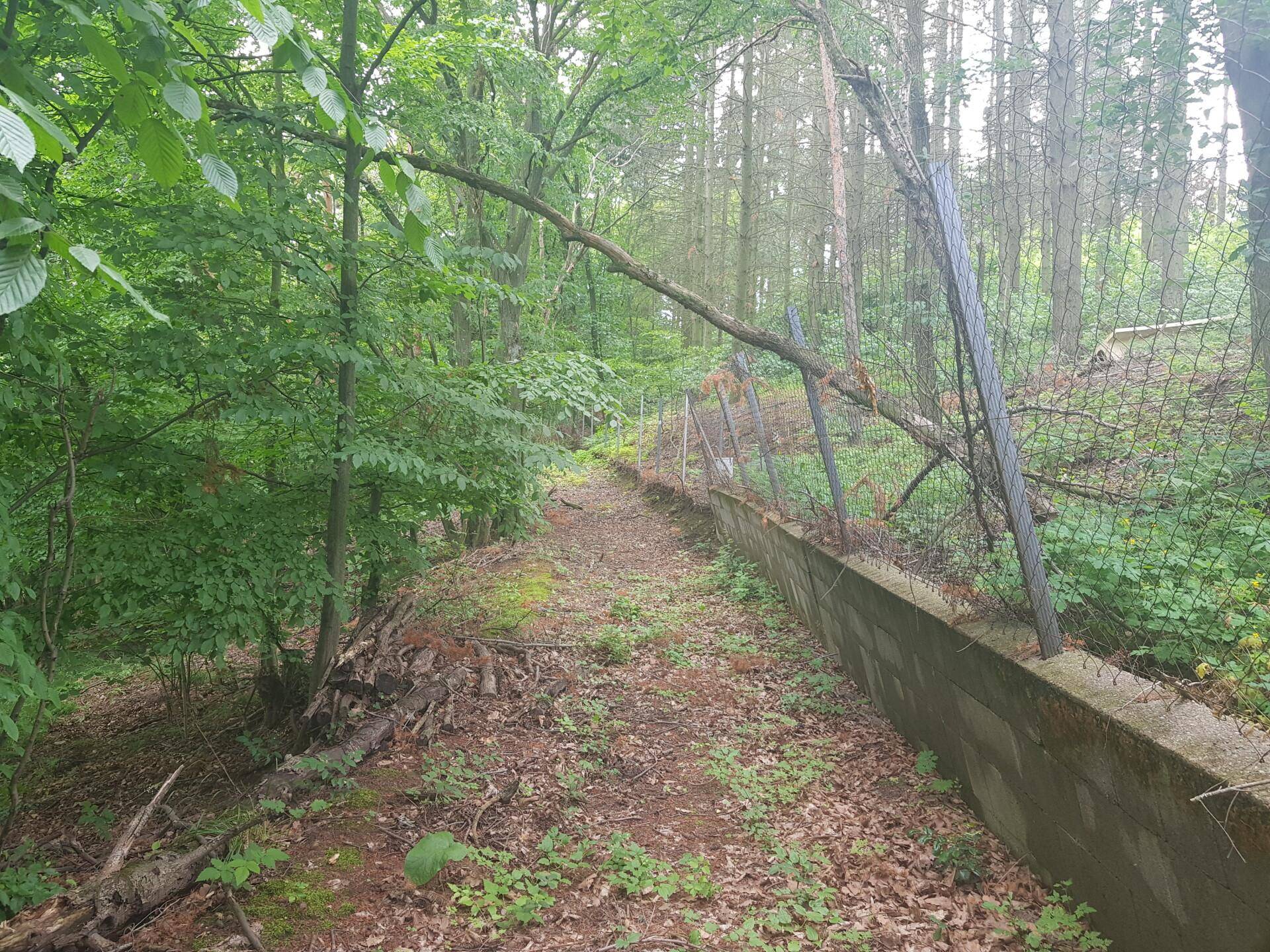 Ein Waldweg führt entlang einer Betonmauer und eines Drahtzauns durch dichten Baumbestand.