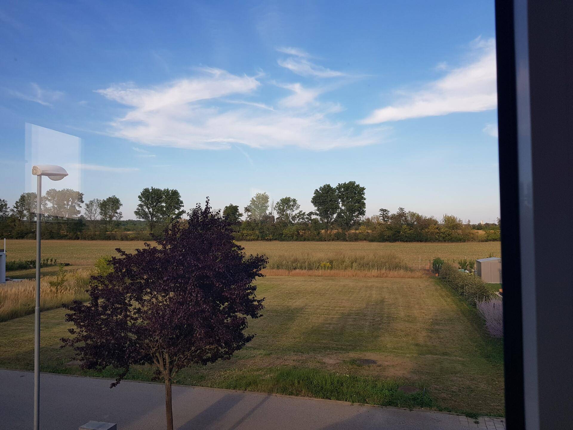 Weitläufiger Blick aus dem Fenster auf grüne Felder und den blauen Himmel.