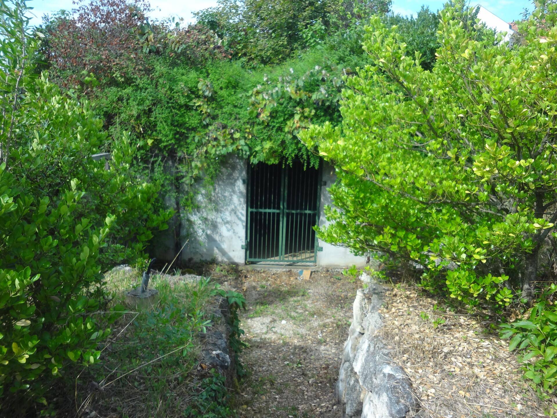 DSC04527