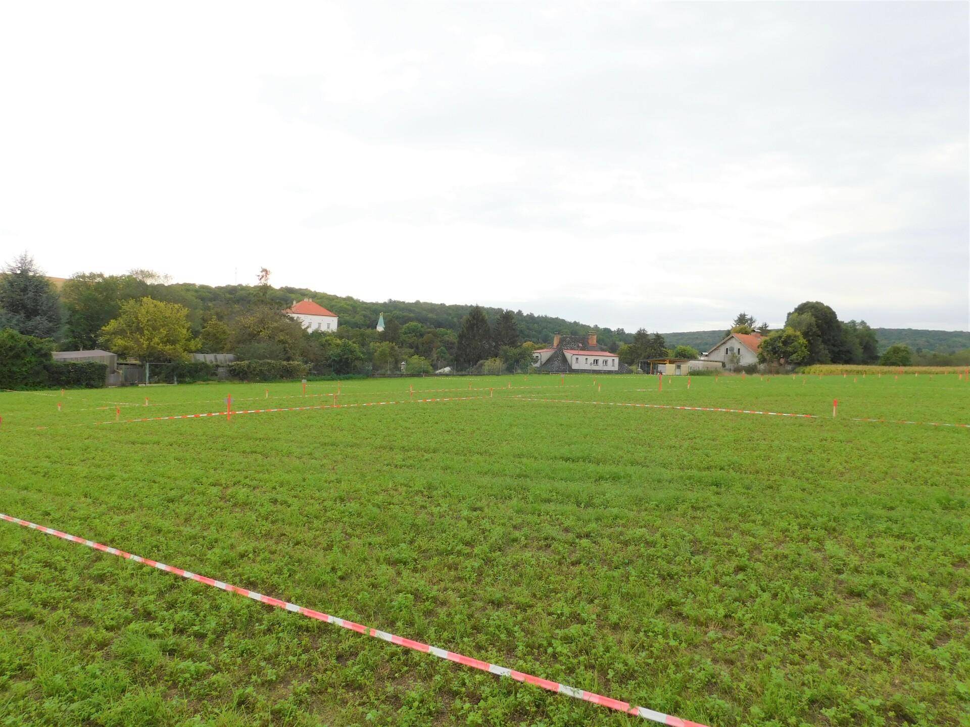 Grundstücke Bild 2