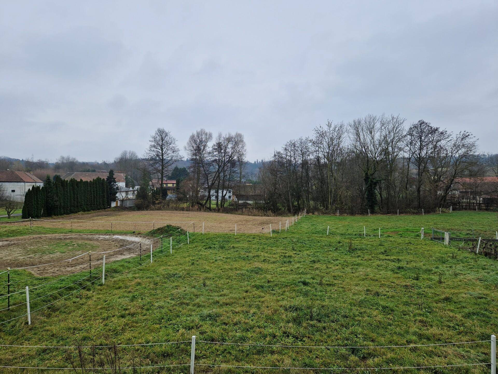 Ausgedehnte grüne Felder mit vereinzelten Bäumen und ländlicher Bebauung im Hintergrund.
