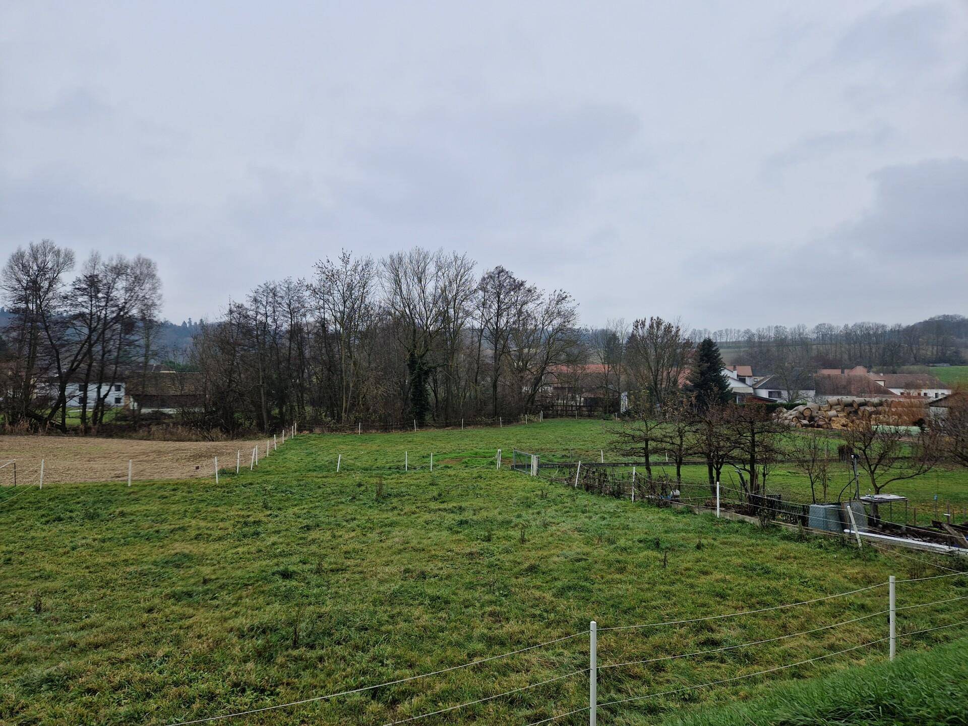 Panoramablick über eine weite Graslandschaft mit Waldrand und Häusern in der Ferne.