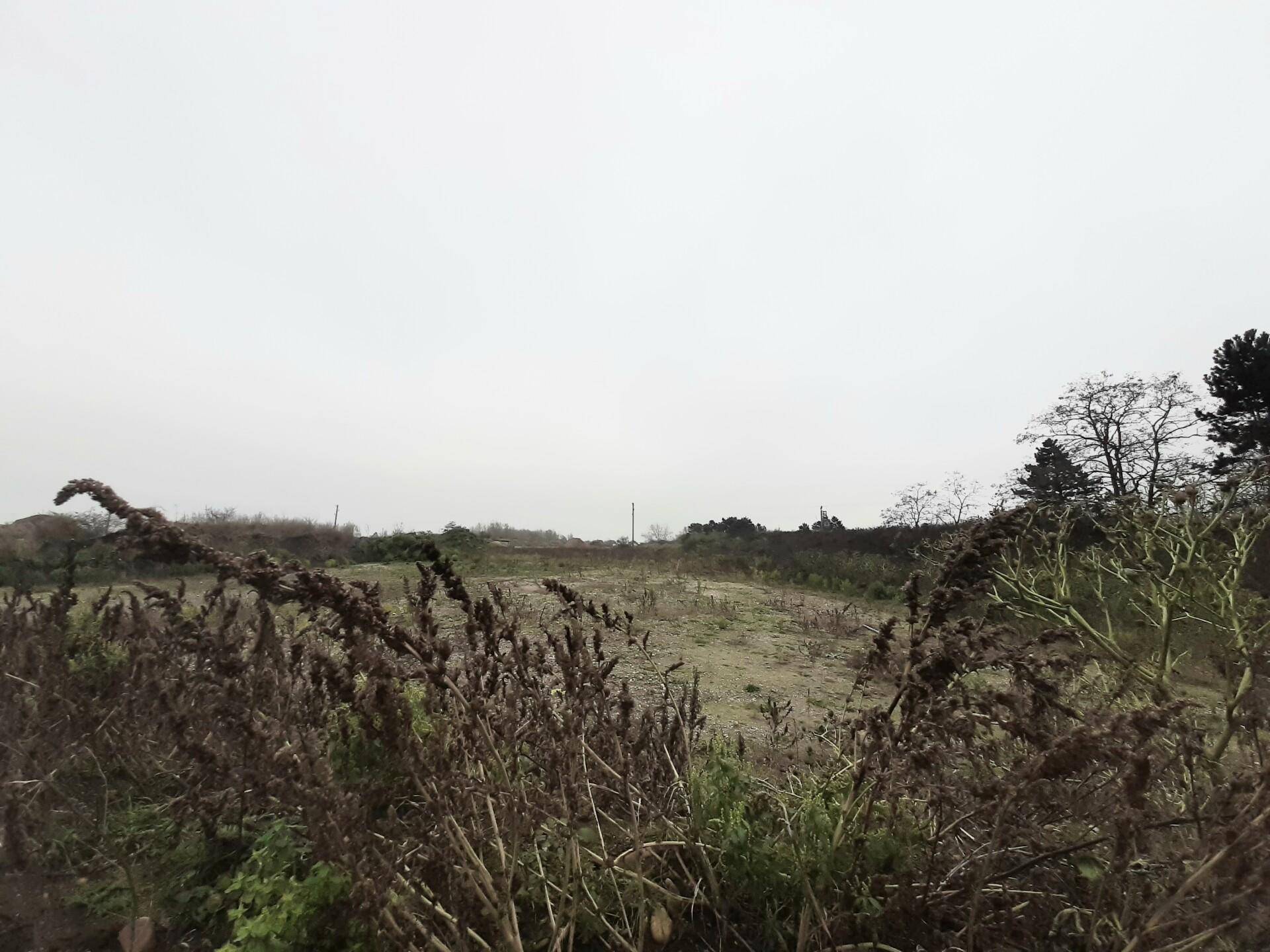 Weitläufiges, unbebautes Grundstück mit spärlicher Vegetation unter grauem Himmel, ideal für ein Bauprojekt.