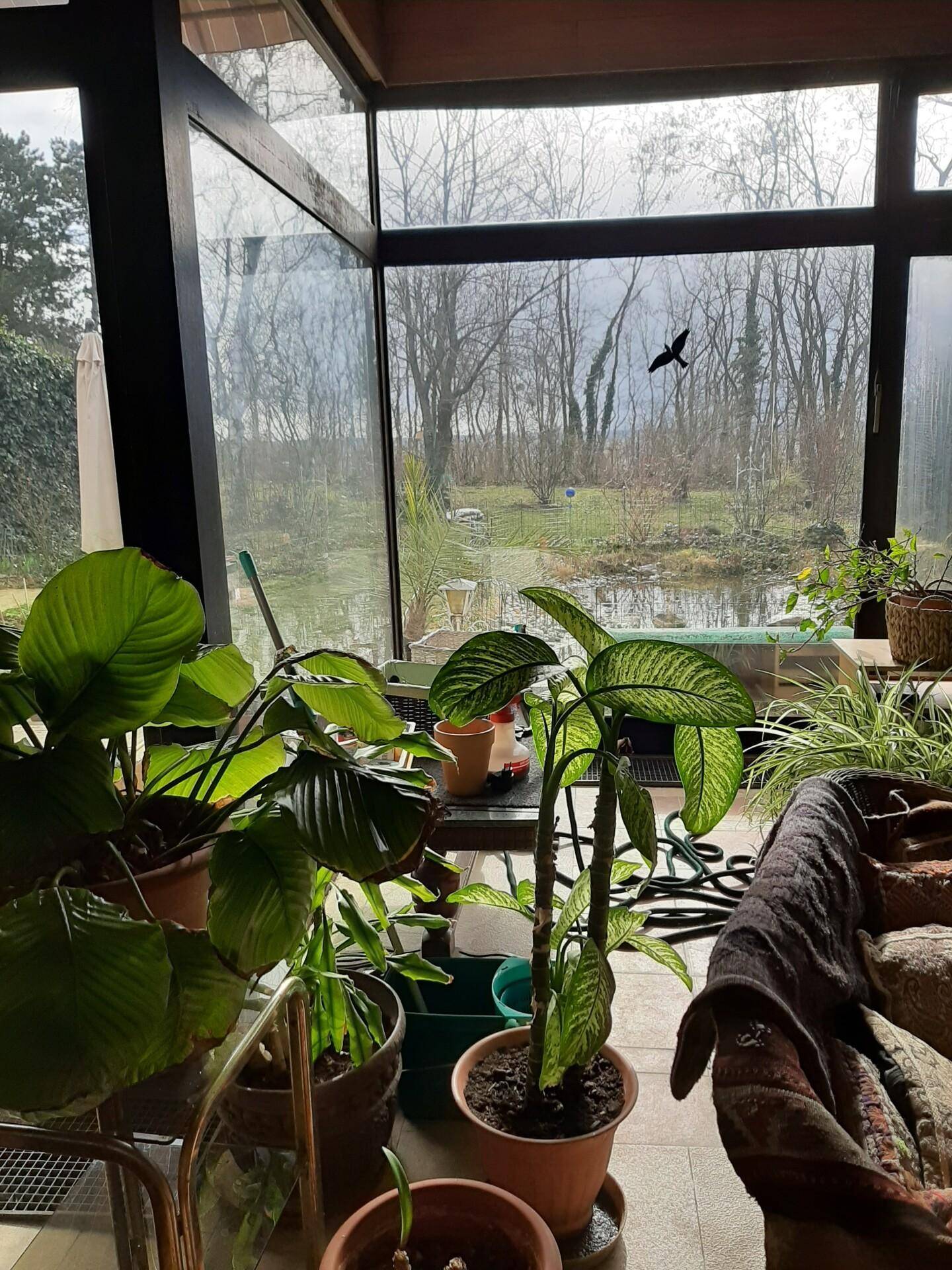 Wintergarten