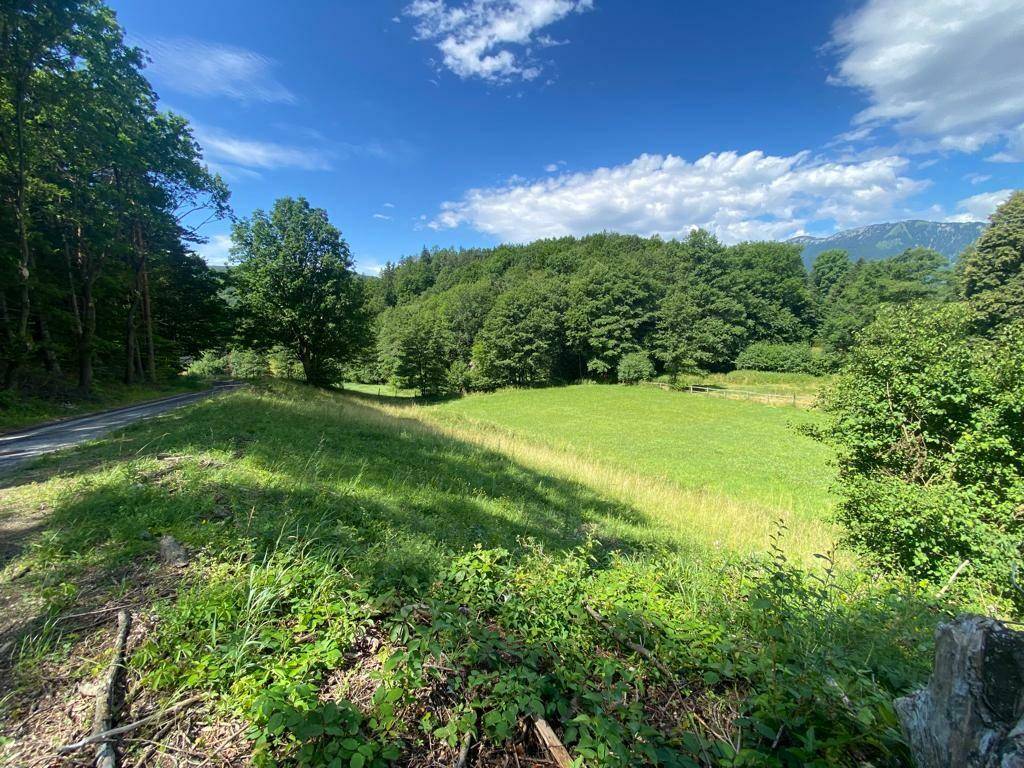 Weitläufige grüne Landschaft mit Bäumen und einem Wald im Hintergrund unter strahlend blauem Himmel.