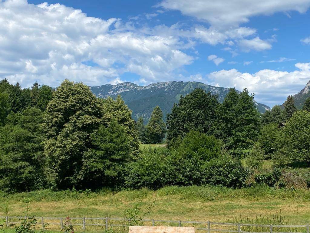 Panoramablick über grüne Felder und Wälder mit einer beeindruckenden Bergkette im Hintergrund.