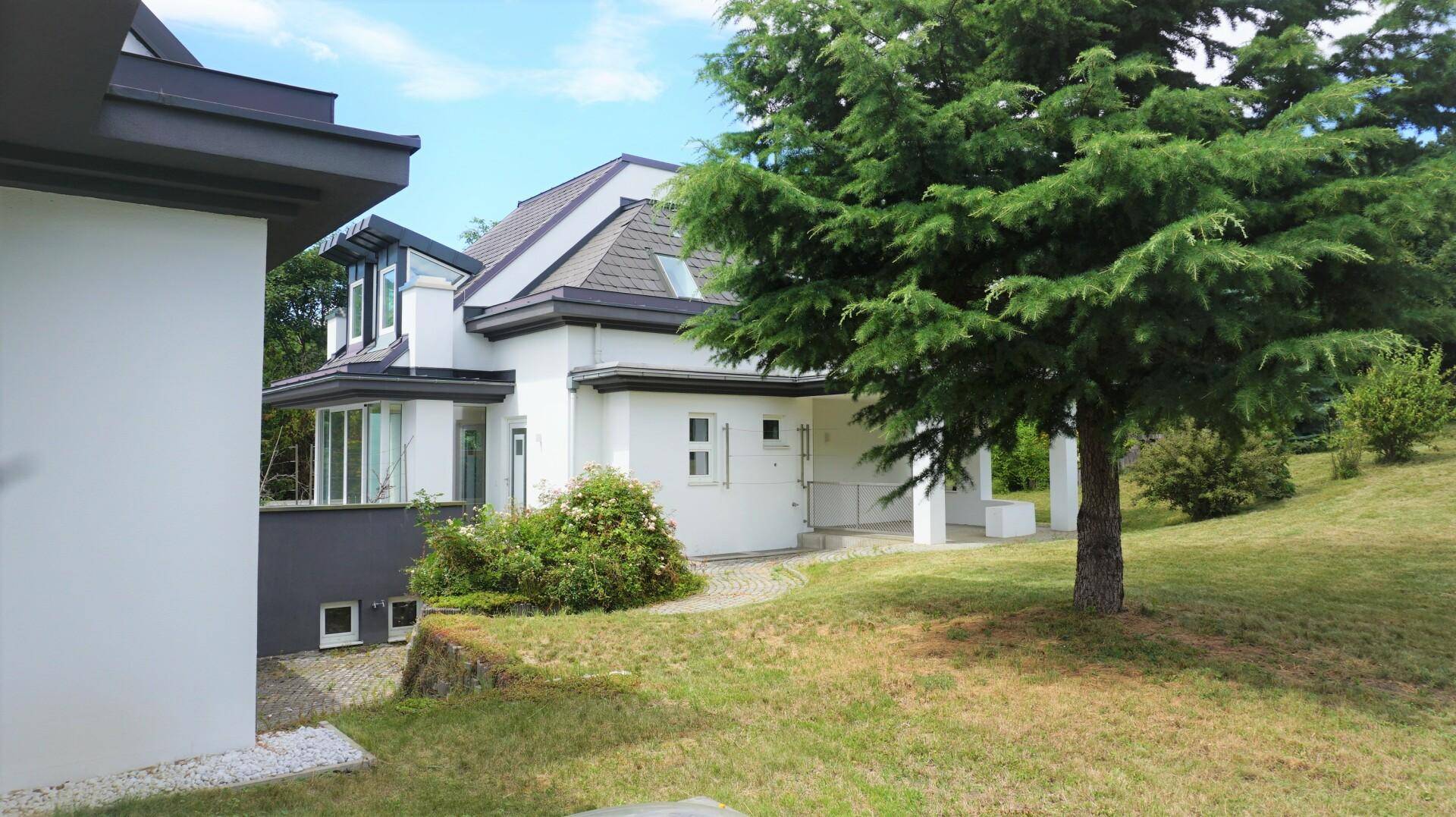 Seitlicher Blick auf die Villa mit großem Baum und weitläufiger Rasenfläche im Garten.