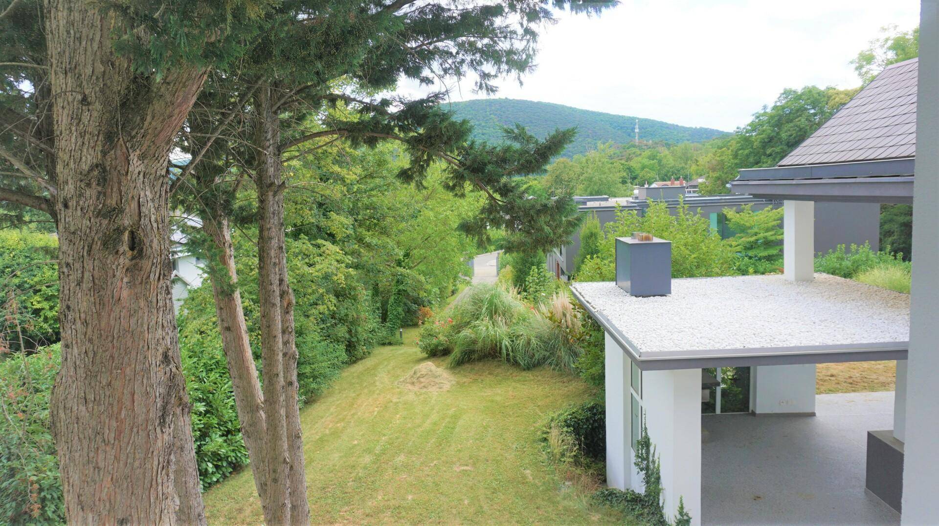 Malerischer Ausblick auf bewaldete Hügel und die grüne Landschaft von der Immobilie aus.