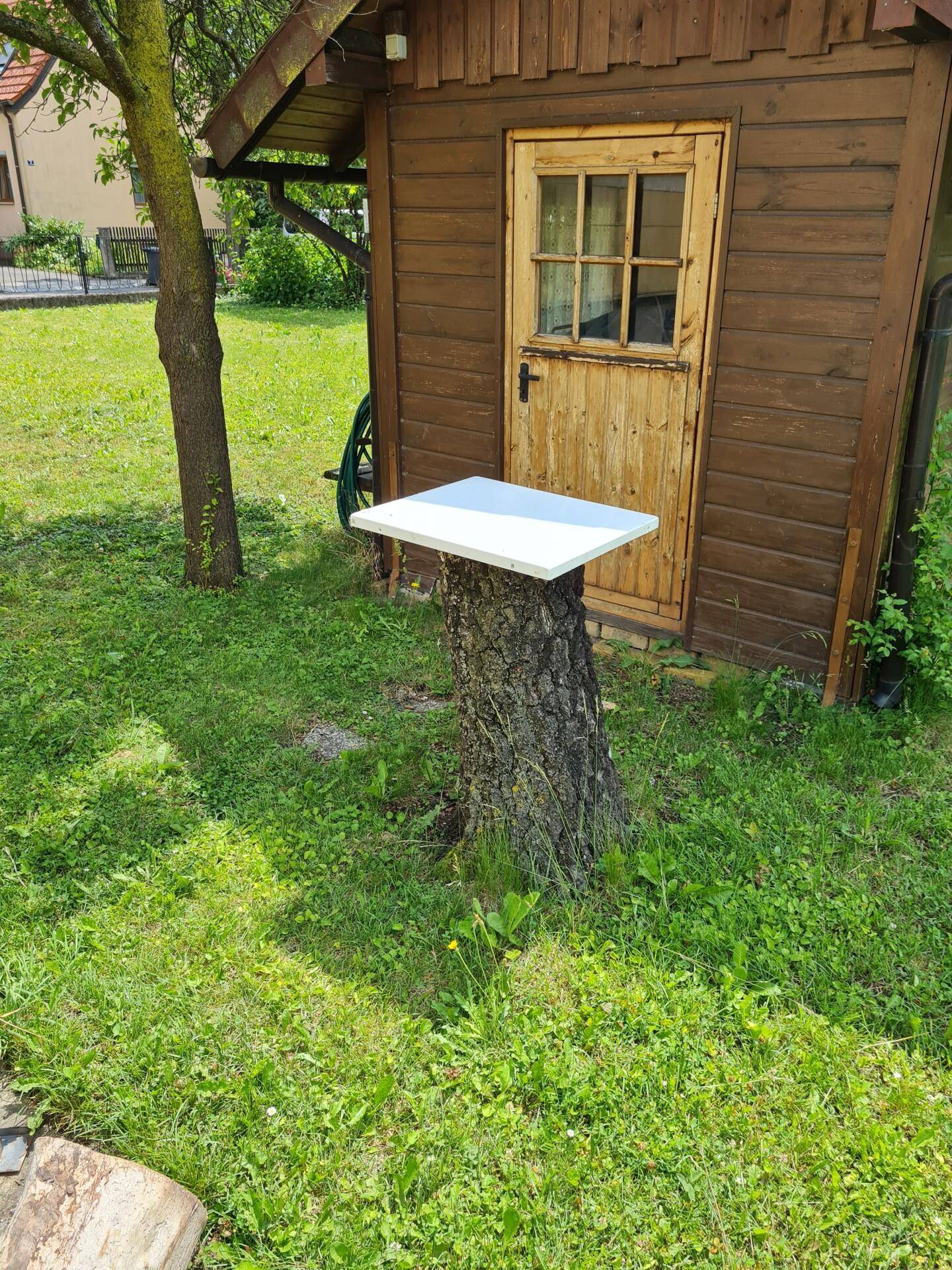 Kleines Gartenhaus aus Holz mit einem Baumstumpf als Tisch im grünen Garten.