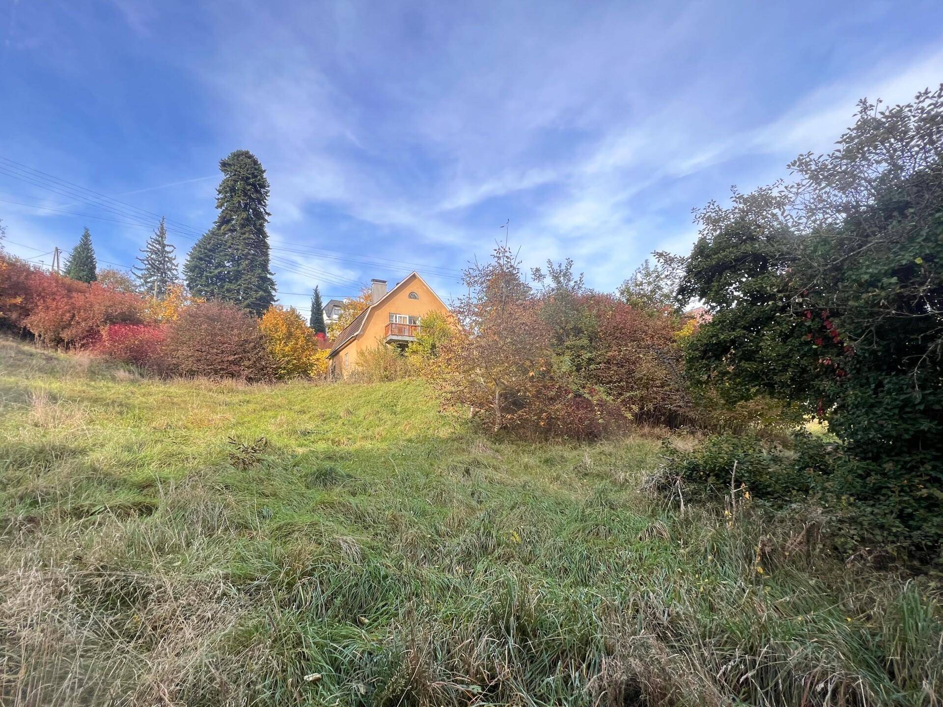 Blick über ein verwildertes Wiesengrundstück mit einem Haus im Hintergrund, umgeben von Bäumen und Sträuchern.