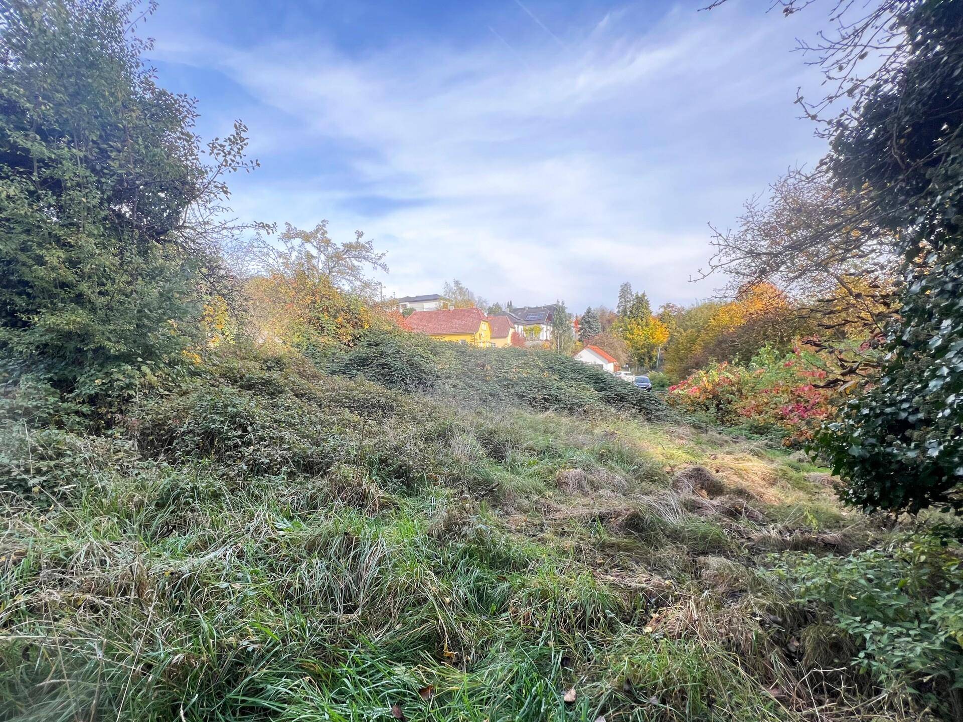 Blick über ein verwildertes Wiesengrundstück mit Häusern in der Ferne, umgeben von Bäumen und Sträuchern unter bewölktem Himmel.