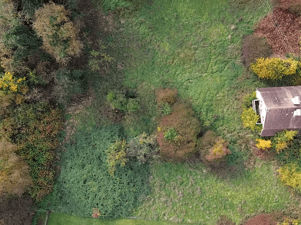 Senkrechte Luftaufnahme eines Hauses mit Dach und dem umliegenden, bewachsenen Grundstück in Herbstfarben.