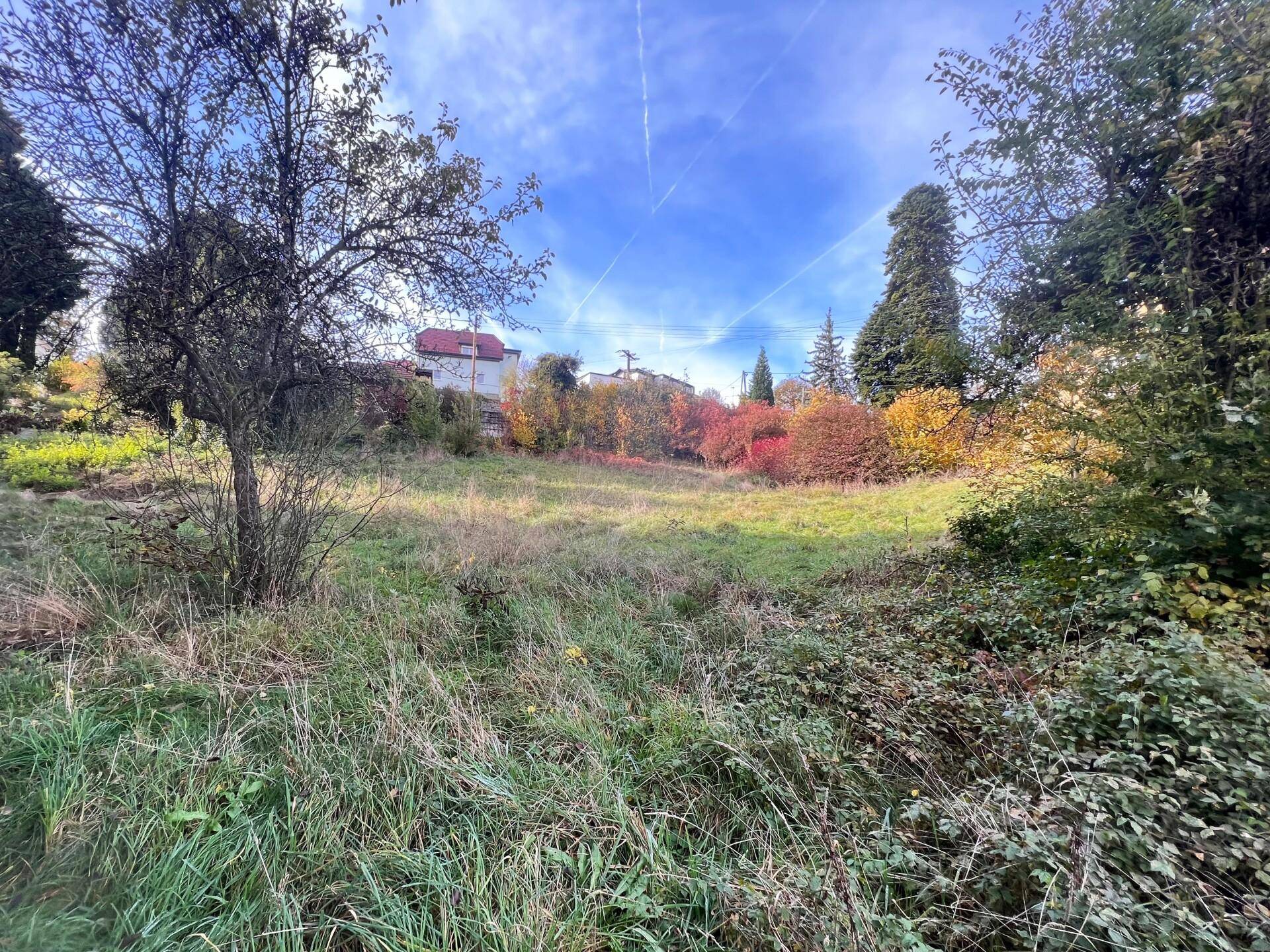 Blick über ein verwildertes Wiesengrundstück mit Häusern in der Ferne, umgeben von Bäumen und Sträuchern unter blauem Himmel.