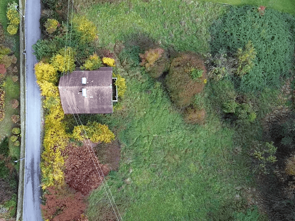 Senkrechte Luftaufnahme eines Hauses mit Dach und dem umliegenden, bewachsenen Grundstück in Herbstfarben.