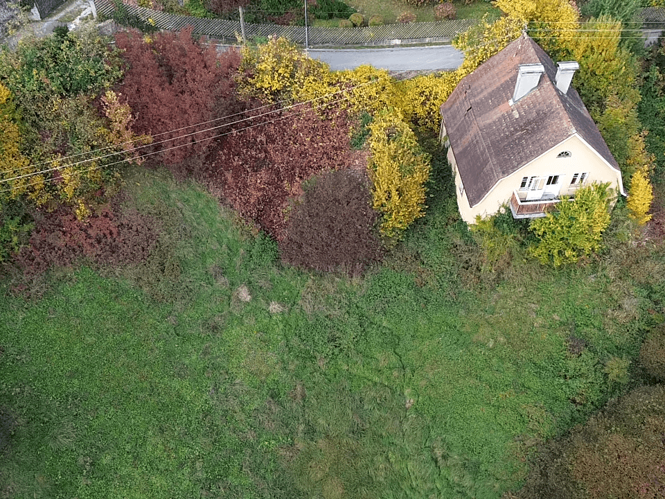 Senkrechte Luftaufnahme eines Hauses mit Dach und dem umliegenden, bewachsenen Grundstück in Herbstfarben.