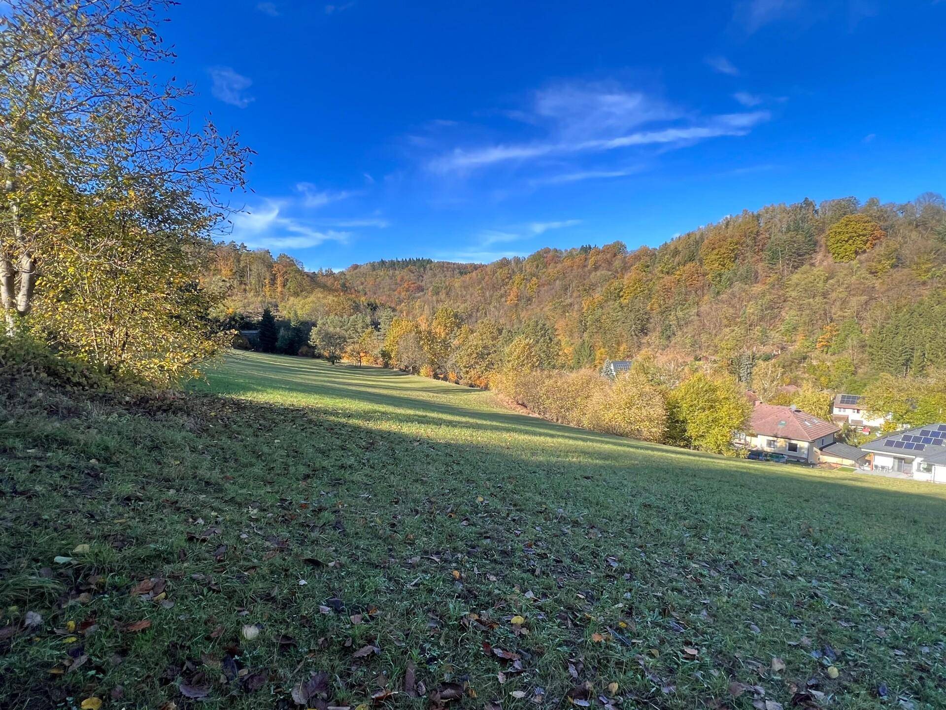 Weite grüne Wiesenlandschaft mit herbstlichen Bäumen und Häusern am Horizont unter blauem Himmel.