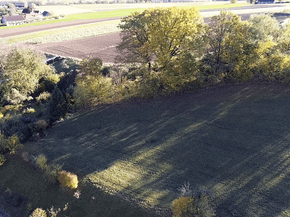 Luftaufnahme einer grünen Wiese, umgeben von Bäumen und landwirtschaftlichen Feldern, mit einem Dorf im Hintergrund.
