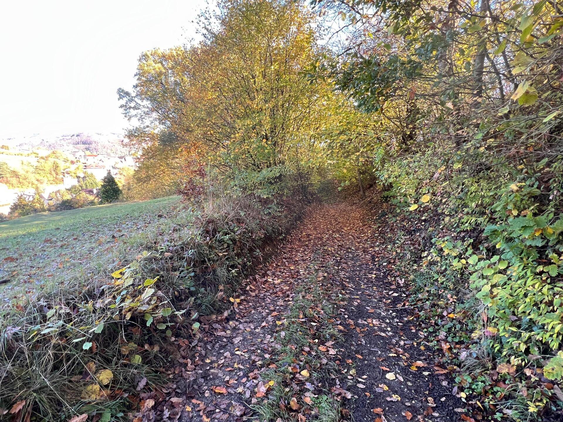 Laubbedeckter Waldweg, der sich durch dichtes Herbstlaub schlängelt, mit einem Blick auf ein Dorf in der Ferne.