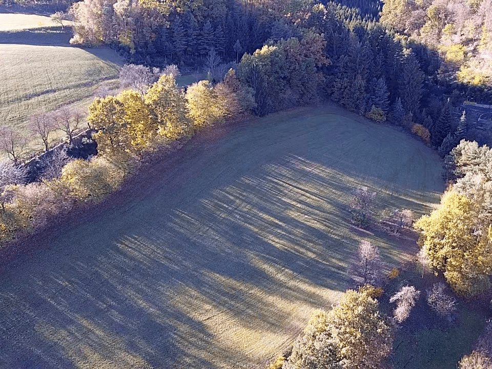 Luftaufnahme einer grünen Wiese, umgeben von herbstlichen Bäumen und bewaldeten Hügeln, mit langen Schatten.